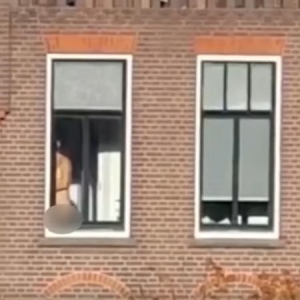 提姆正妹