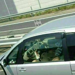 提姆正妹