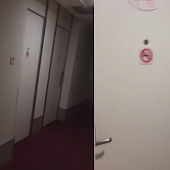 提姆正妹