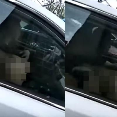 提姆正妹